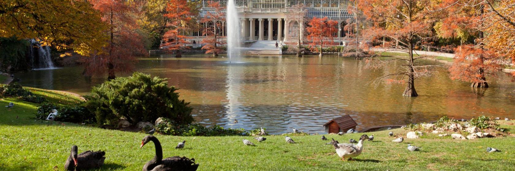 El Retiro Park
